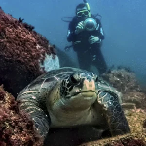 Mergulho Credenciados