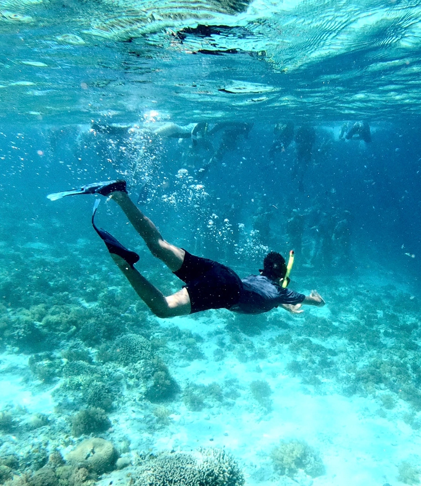Pessoa praticando snorkeling no mar cristalino da Ilha do Xavier em Florianópolis