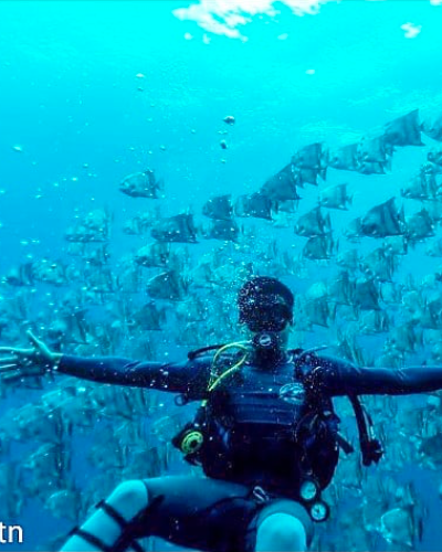 Captura de Tela 2019-09-03 às 12.05.42